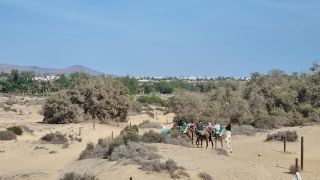 2023-GC--Mapalomas dunas-S123-189.jpg